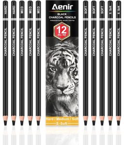 Charcoal Pencils for drawing, Set of 12, Charcoal Drawing Pencils (S-Soft, Soft, Medium, Hard), Art Supplies for Artist, Sketching, Shading