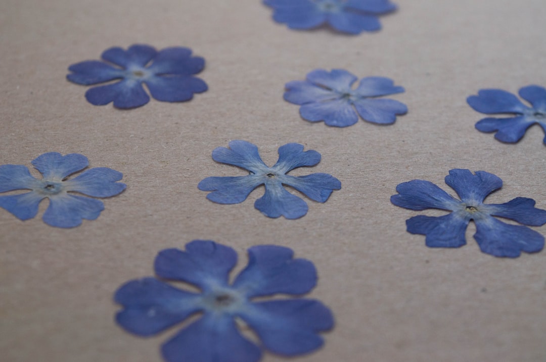 Crafting on a Budget: Creative Ways to Save While Unleashing Your Creativity